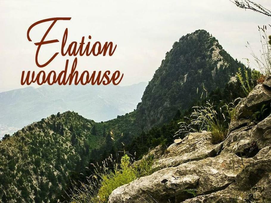 Апартаменты Elation Woodhouse Экстерьер фото